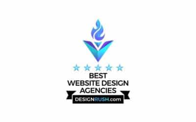 Priceless Consulting LLC ranked as Top 30 Web Design Agency