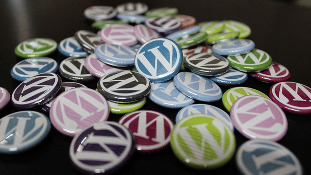 wordpress developer in baltimore, md