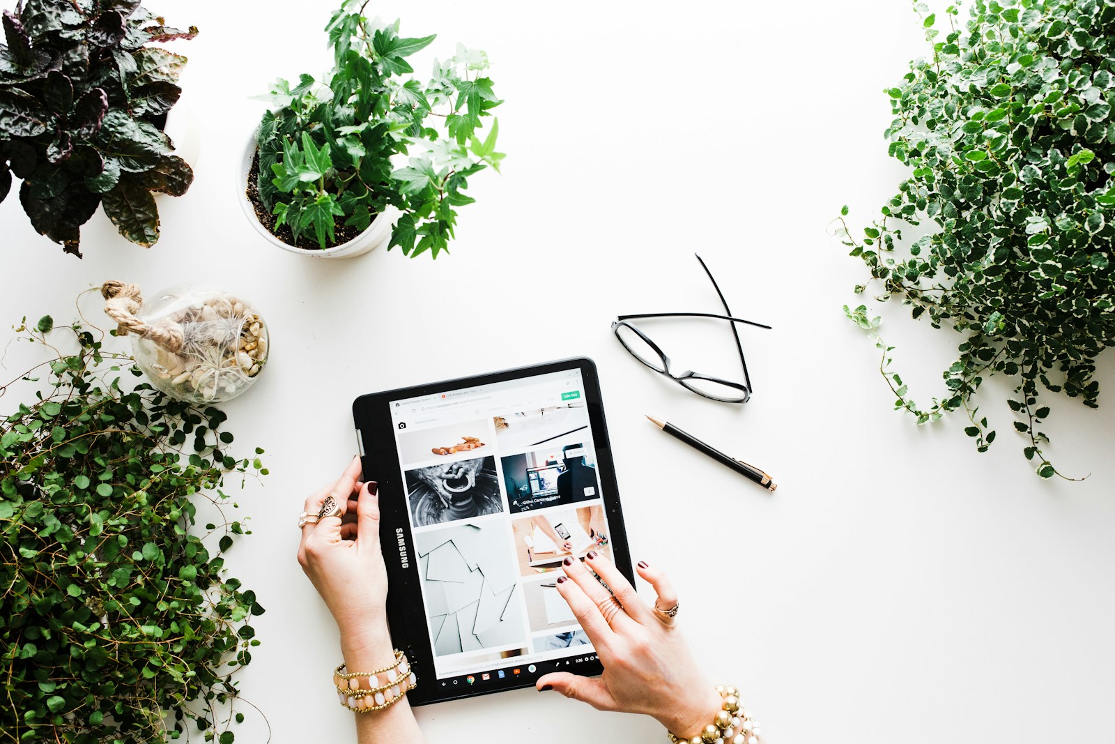 wordpress ecommerce