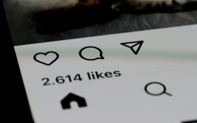 Social Media Marketing Campaign | From Concept to Conversion